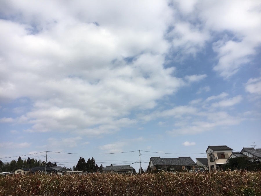 ⭕️空部→ 今日の空（≧∇≦）‼️398.