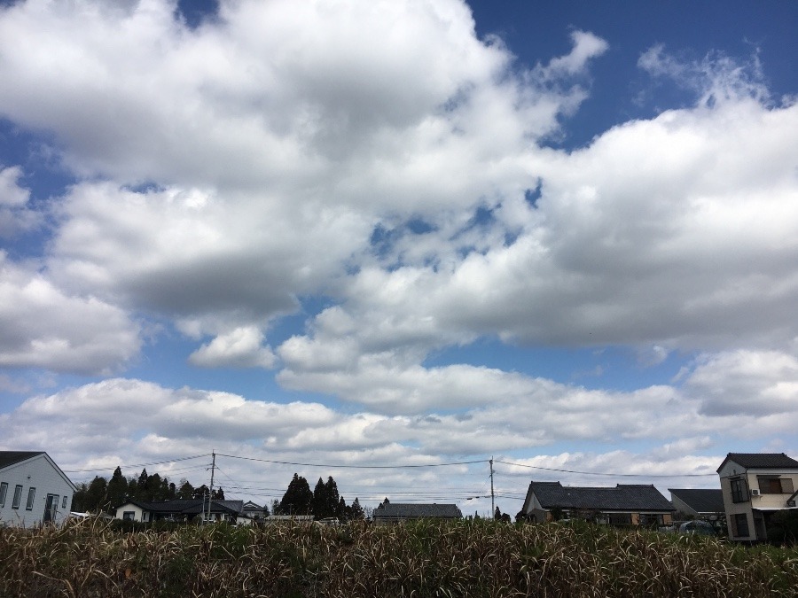 ⭕️空部→ 今日の空（≧∇≦）‼️434.