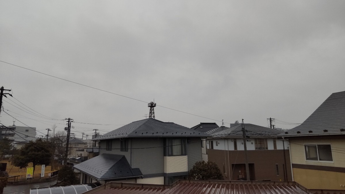 恵みの雨。一歩づつ近づく春！