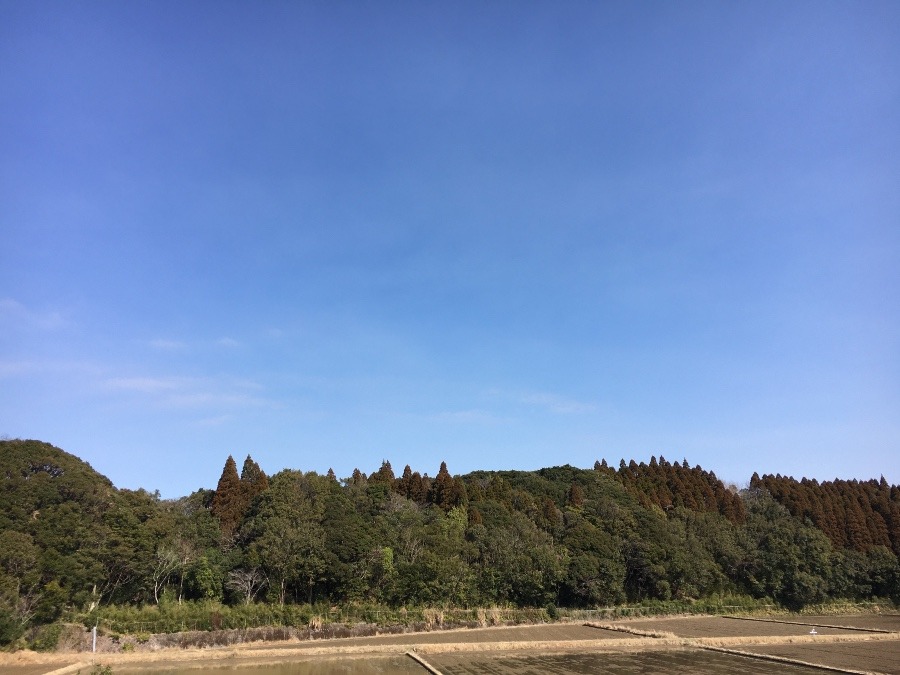 ⭕️空部→ 今日の空（≧∇≦）‼️433.