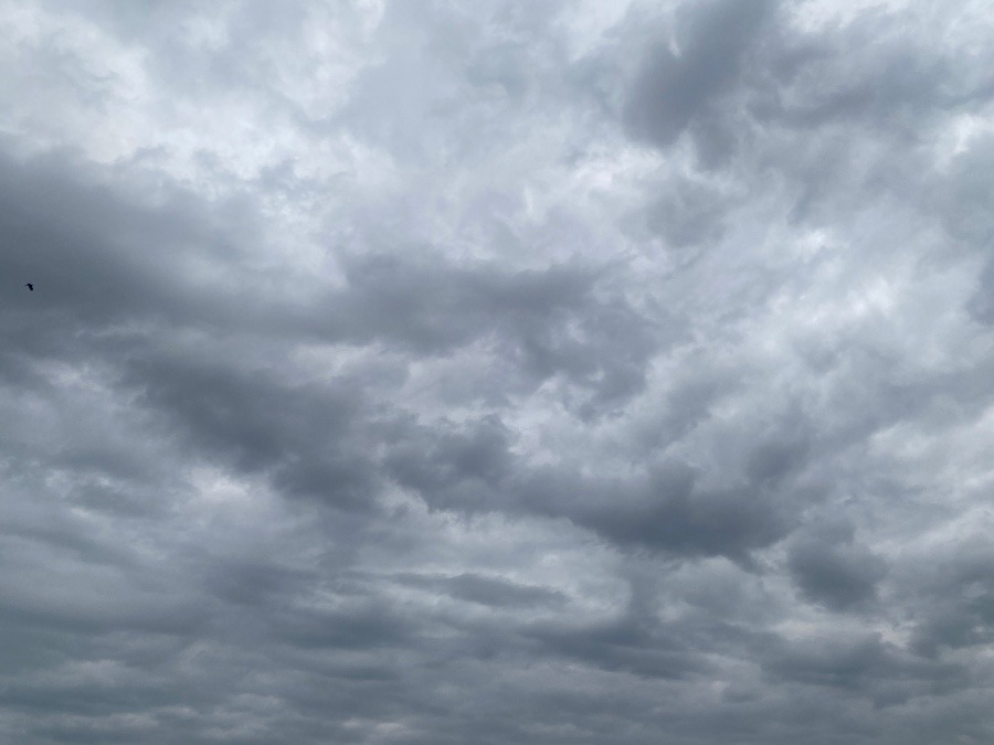 今朝の空　2／1