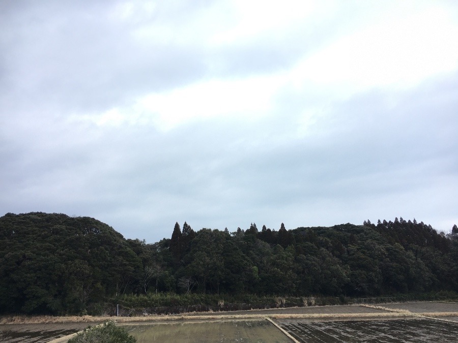 ⭕️空部→ 今日の空（≧∇≦）‼️417.