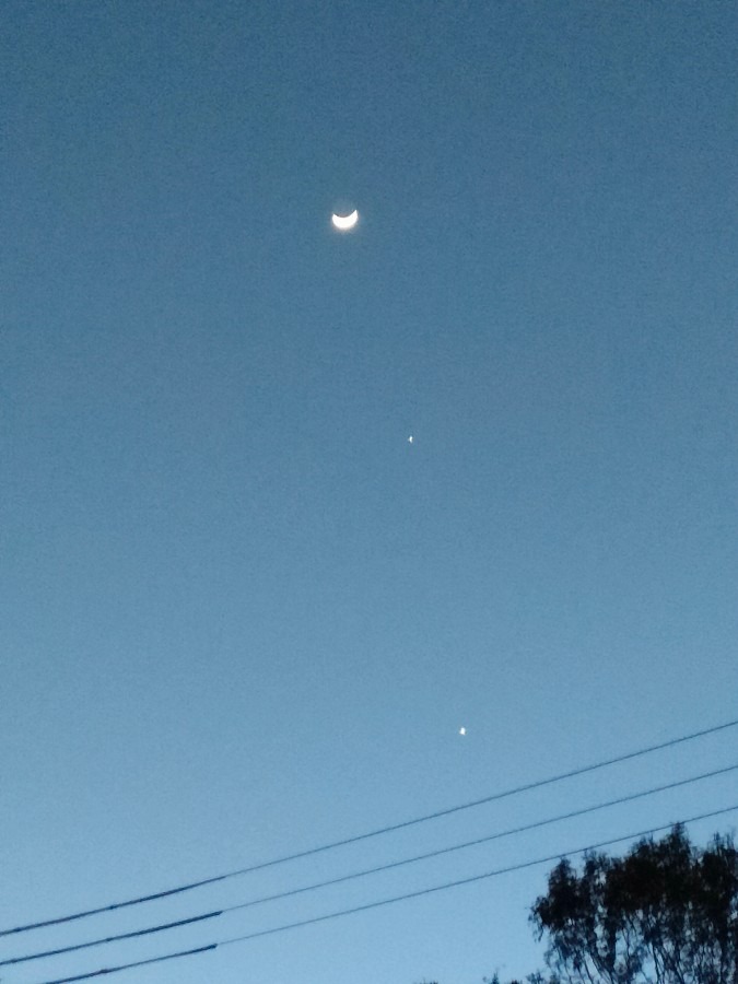 2/23日の月、木星、金星です🌛