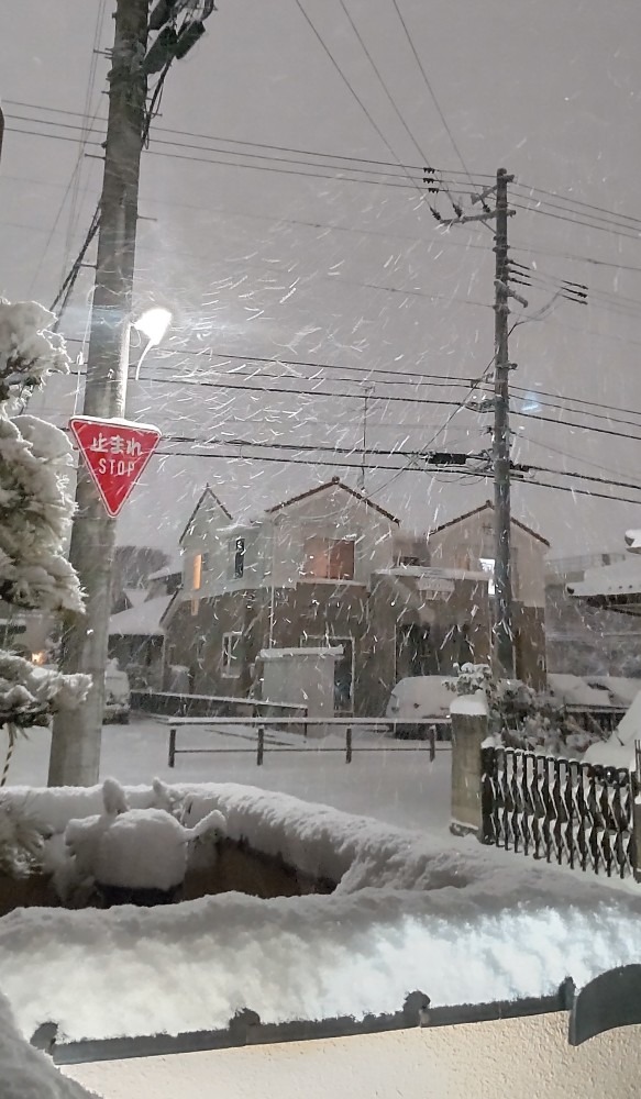 音もなく降リ続ける雪❗️