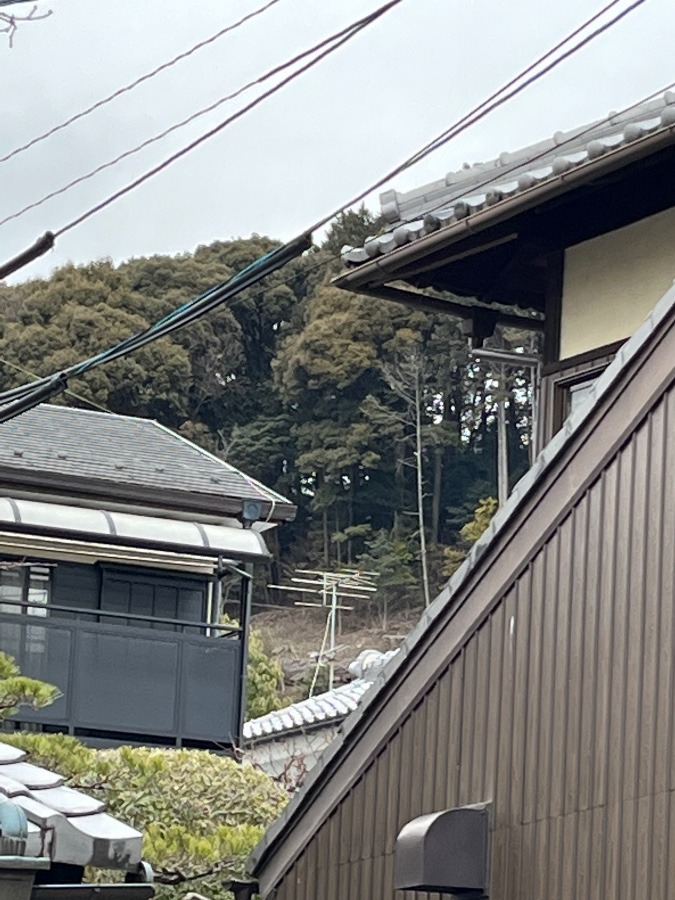 大文字山の登り口の家❣️