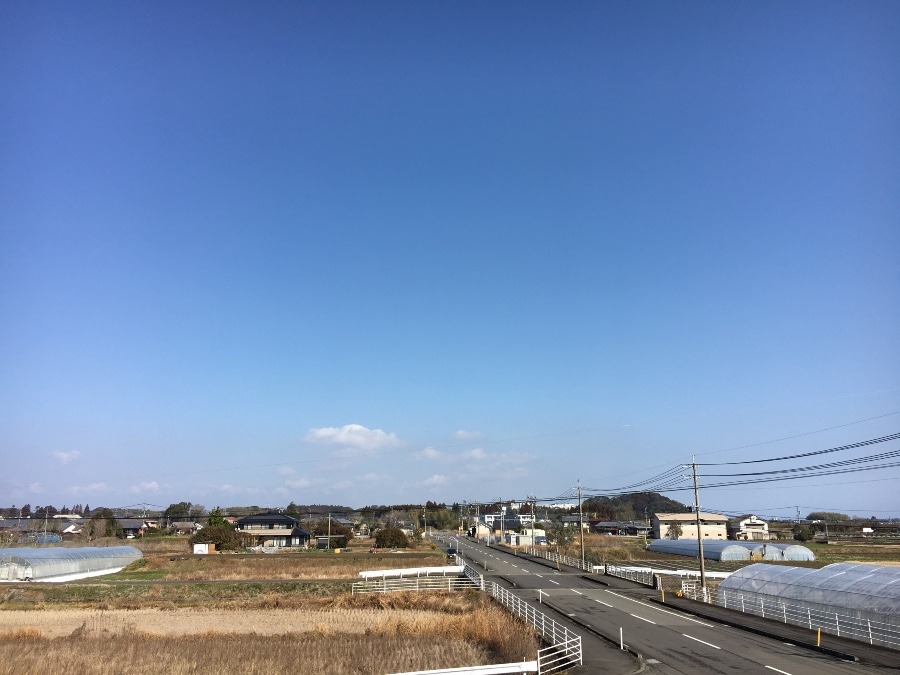 ⭕️空部→ 今日の空（≧∇≦）‼️443.