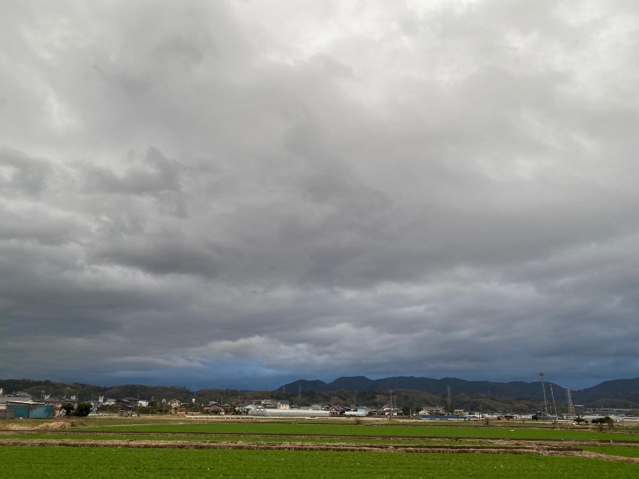 今朝の空　2／19