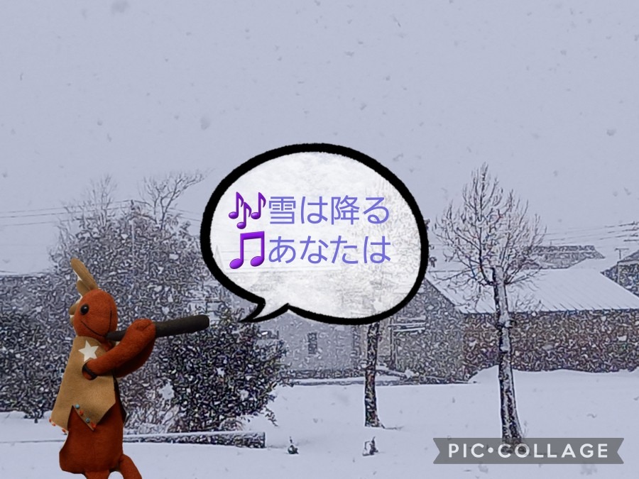 今は雪🎶