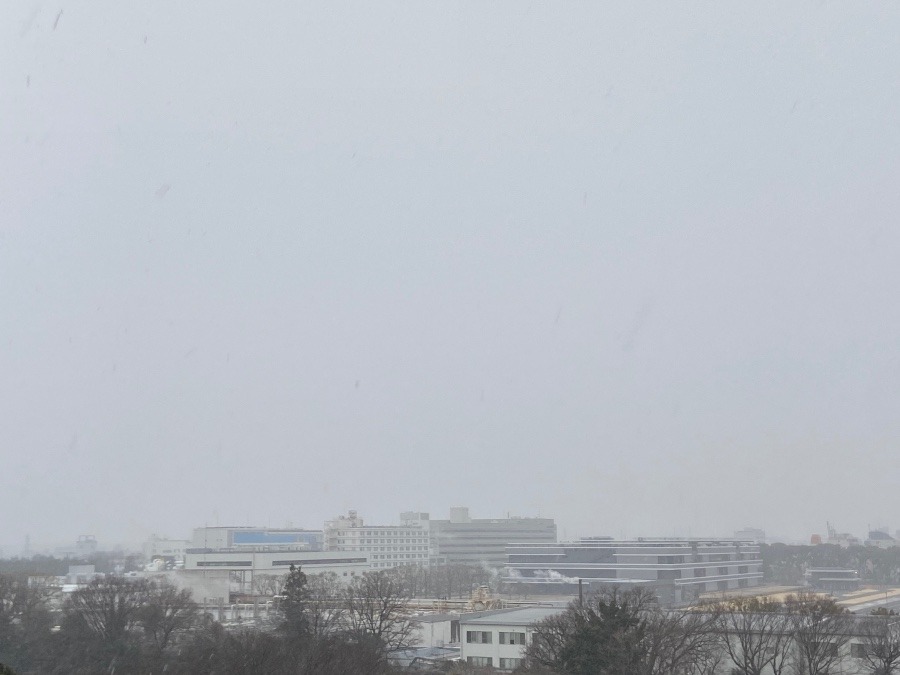 つぶやき-99 東京は本格的な雪