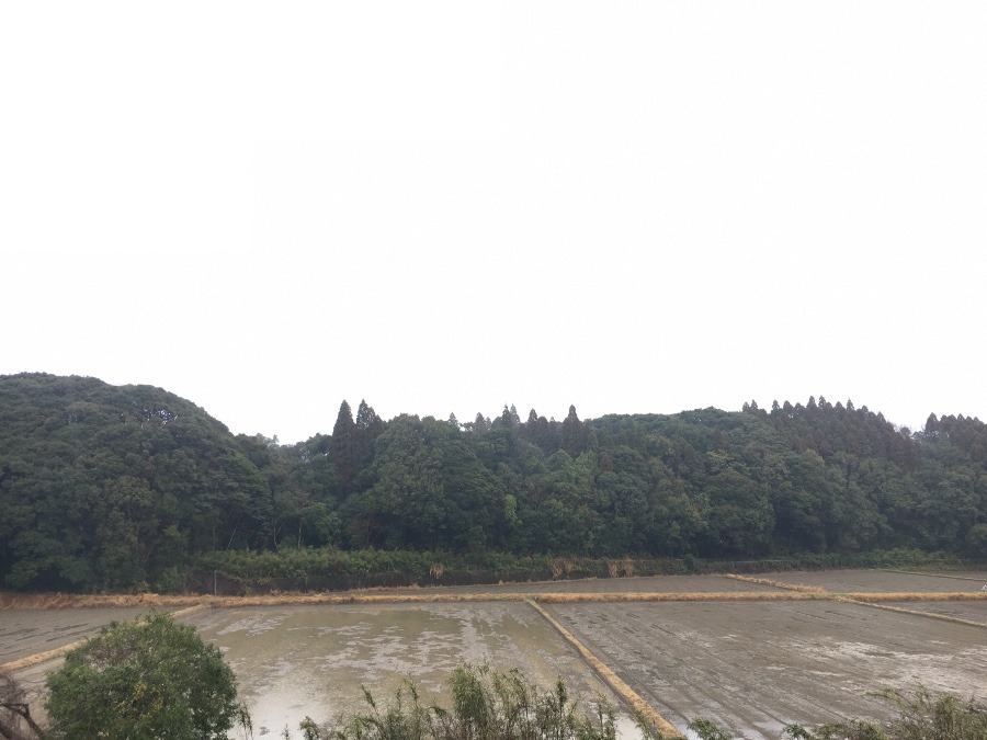 ⭕️空部→ 今日の空（≧∇≦）‼️440.