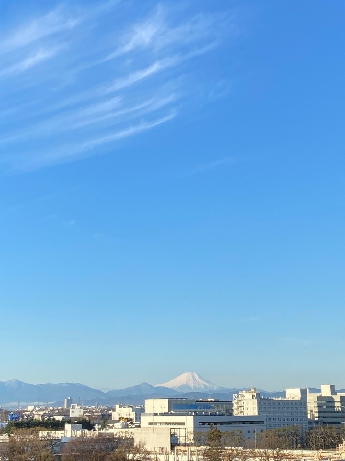 今朝の富士山