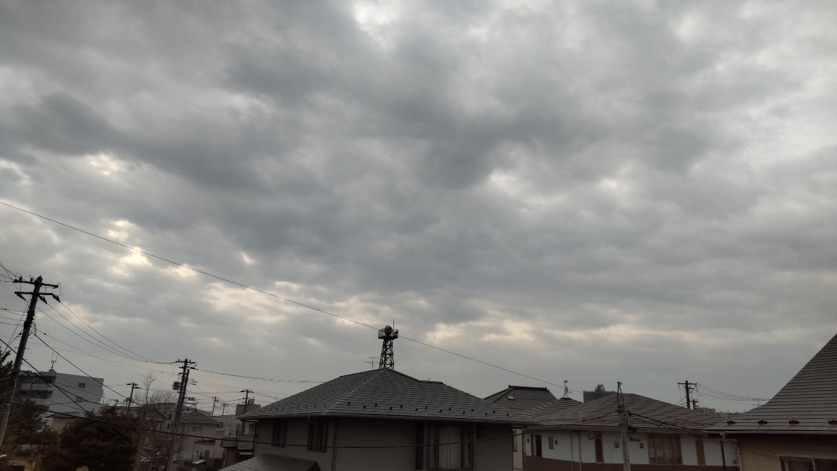 気温高目の、下り坂の雨模様です。