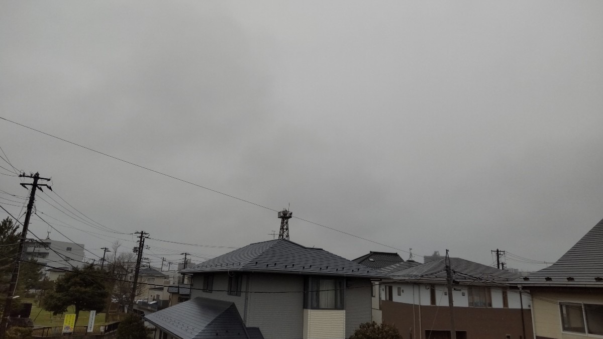 連日雨模様の、変な天気です。