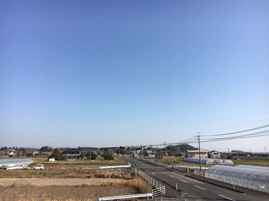 ⭕️空部→ 今日の空（≧∇≦）‼️463.