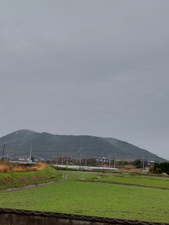 今日も雨3/26