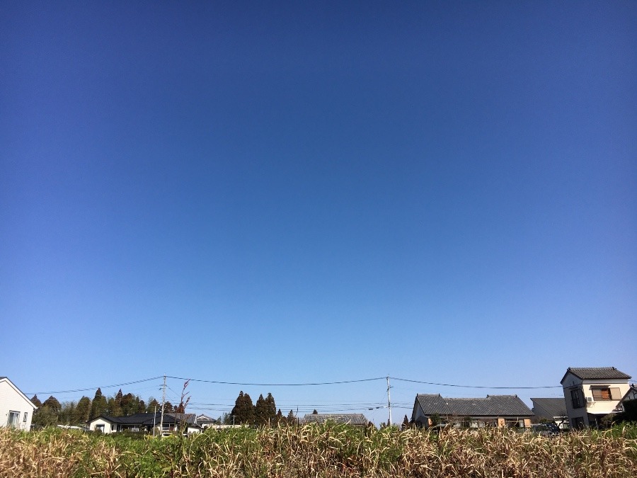 ⭕️空部→ 今日の空（≧∇≦）‼️452.