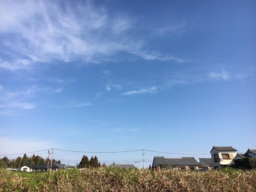 ⭕️空部→ 今日の空（≧∇≦）‼️450.