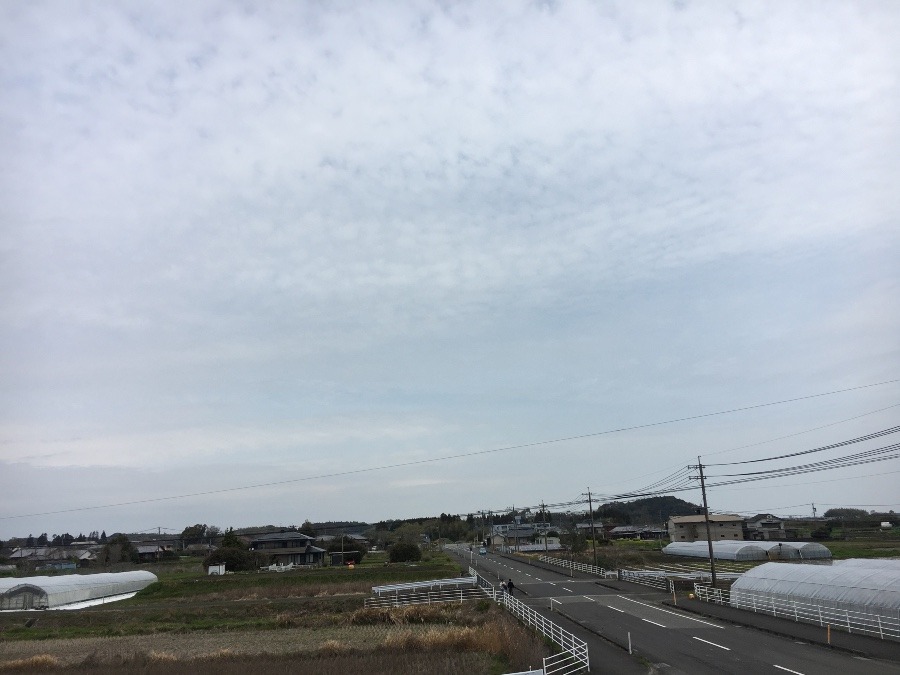 ⭕️空部→ 今日の空（≧∇≦）‼️487.