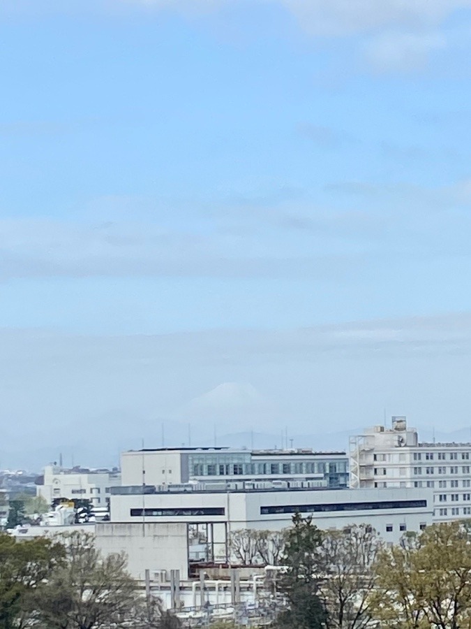 今朝の富士山