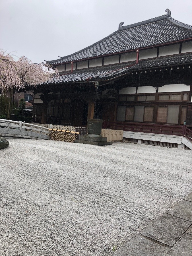 雨のお寺