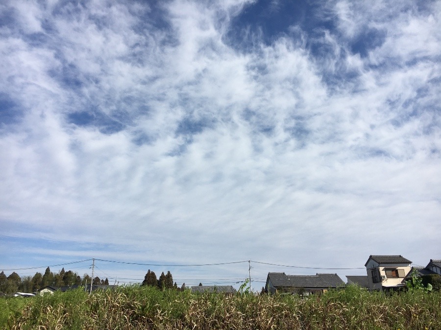 ⭕️空部→ 今日の空（≧∇≦）‼️476.