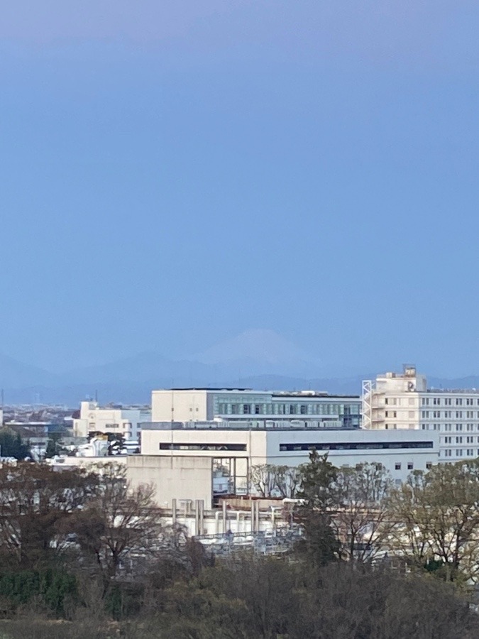 今朝の富士山