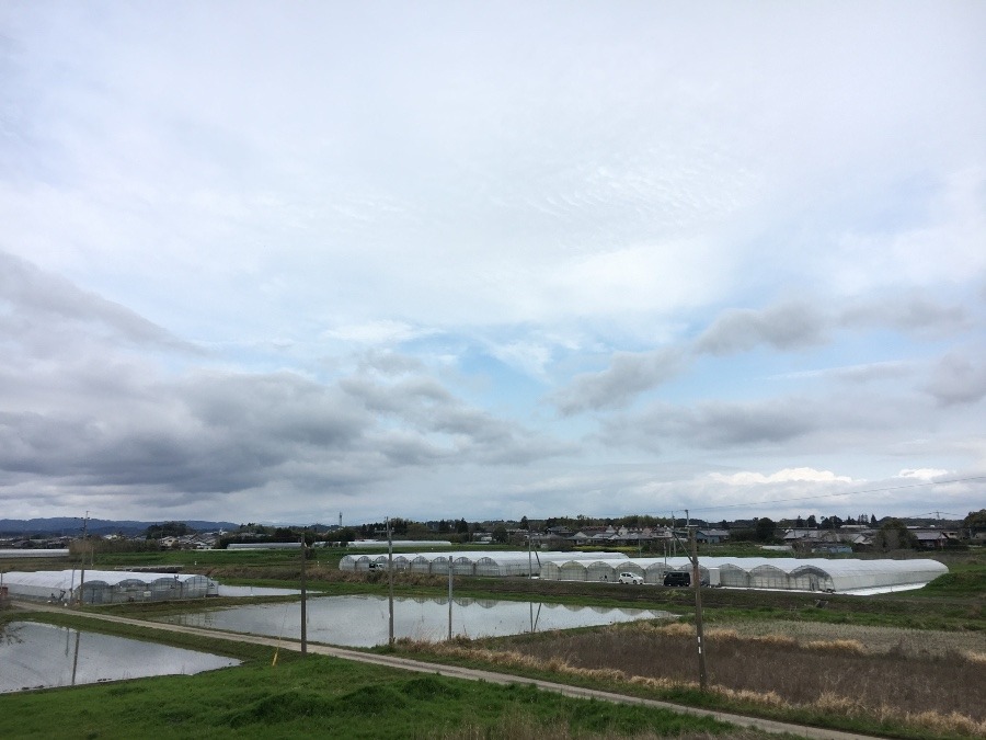 ⭕️空部→ 午前中の、今日の空（≧∇≦）‼️495.