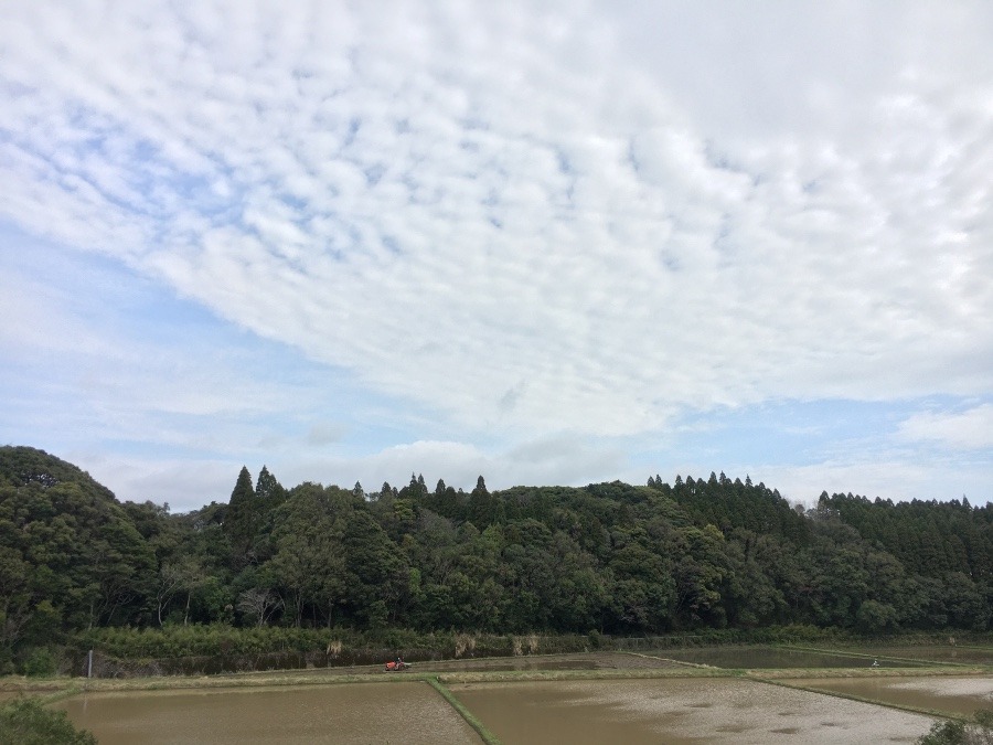 ⭕️空部→ 午前中の、今日の空（≧∇≦）‼️494.