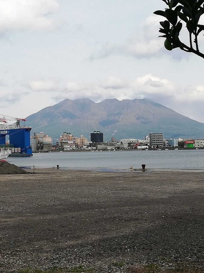 桜島です!!