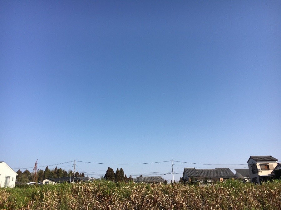 ⭕️空部→ 今日の空（≧∇≦）‼️462.