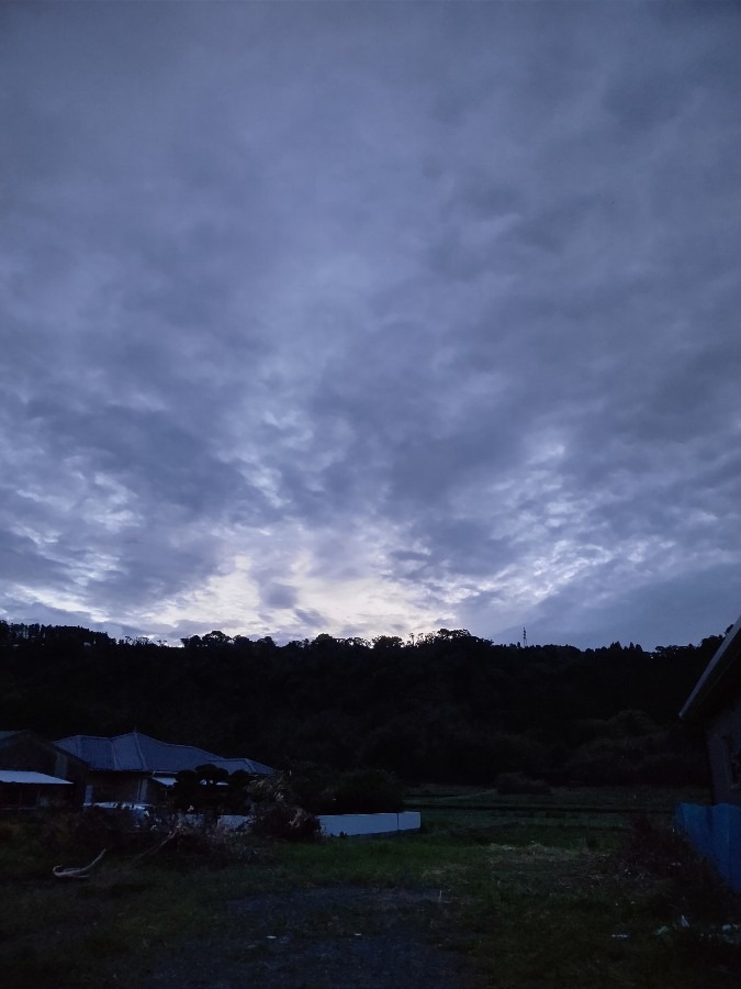 日ノ出まえ🌄