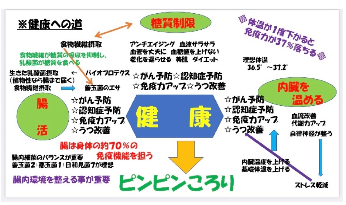 共通の目標（ピンピンころり）に向かって！Ｖｅｒ１０６　腸を元気にすることが大切！