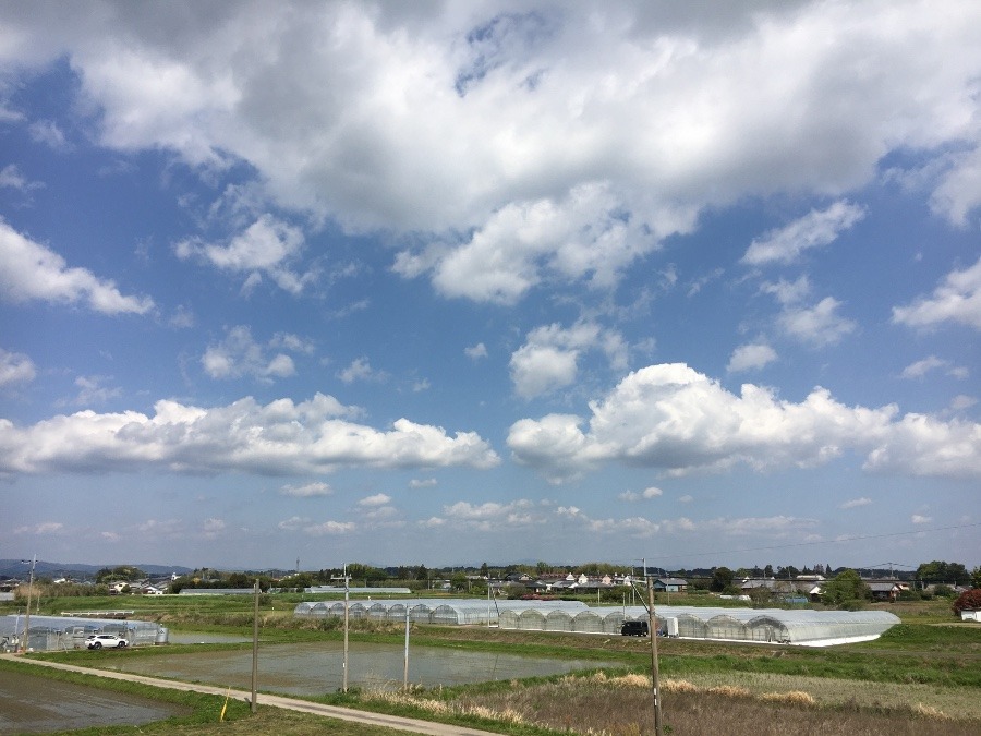 ⭕️空部→ 今日の空（≧∇≦）‼️530.