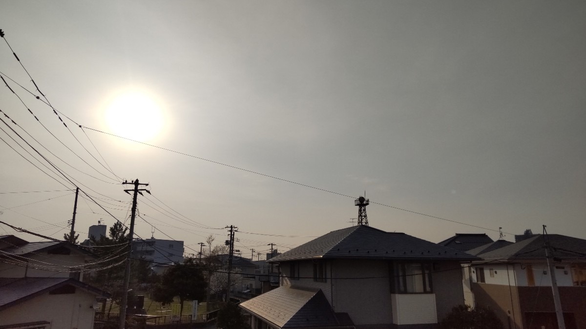 今日も、5月上旬の良い天気。