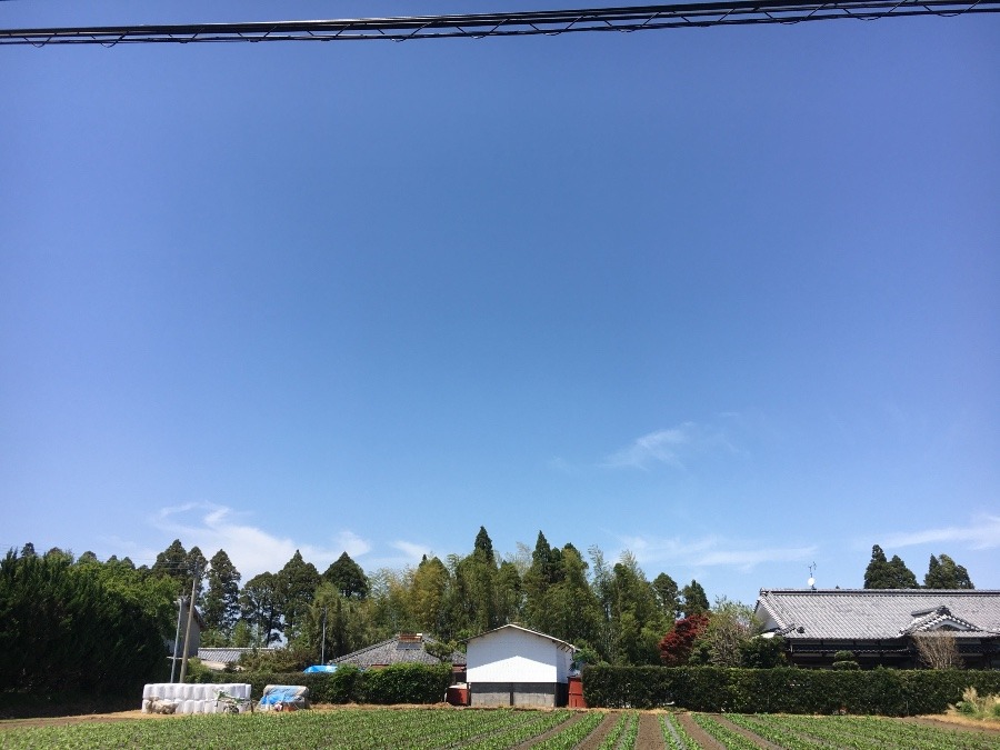 ⭕️空部→ 今日の空（≧∇≦）‼️556.