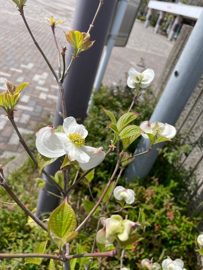 おはようございます☀️