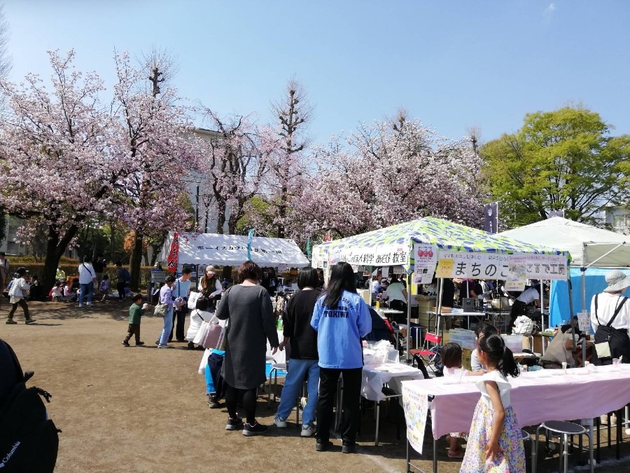 桜祭りで