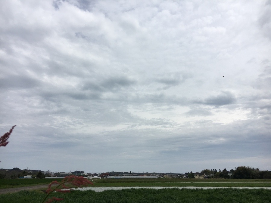 ⭕️空部→ 今日の空（≧∇≦）‼️516.