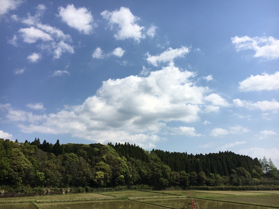 ⭕️空部→ 今日の空（≧∇≦）‼️529.