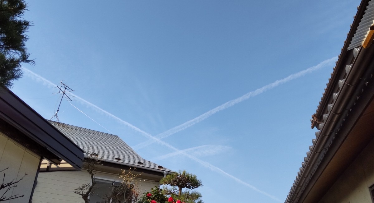 わぁ～。飛行機雲、珍しい！