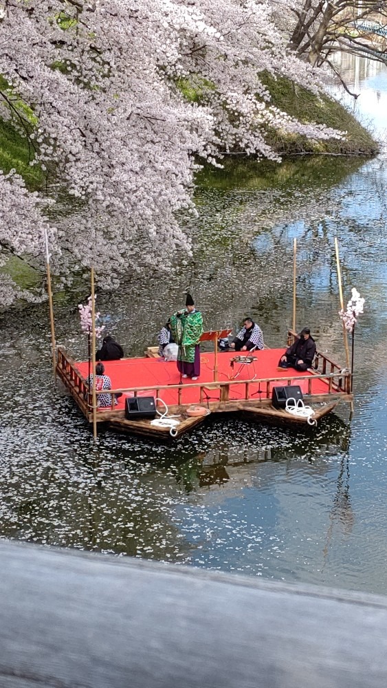 お堀の花見流し🌸🌸🌸