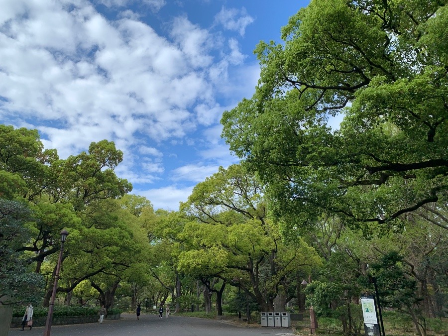 ☆新緑の季節　日比谷公園☆