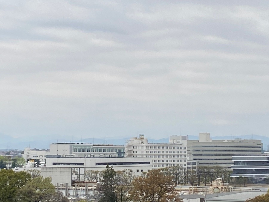 今朝の富士山