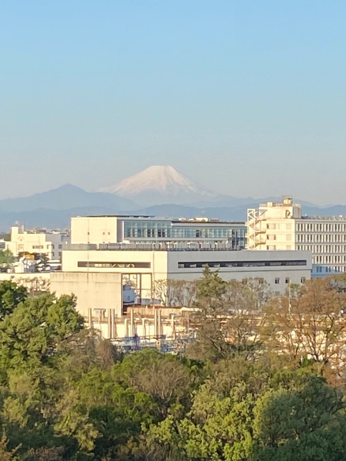 今朝の富士山