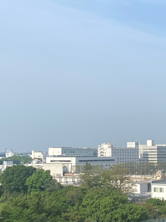 今朝の富士山