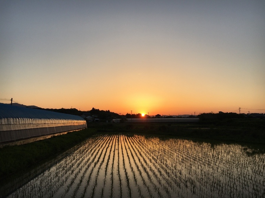 ⭕️ 夕焼け、😃