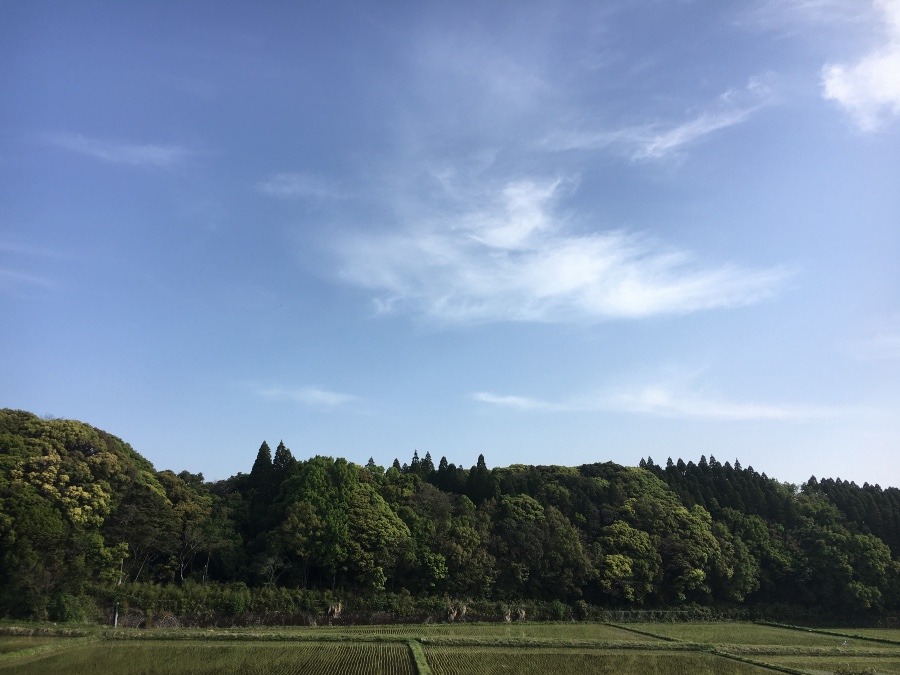 ⭕️空部→ 今日の空（≧∇≦）‼️541.