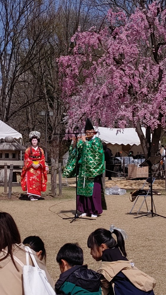 笛の音色に誘われ🌸