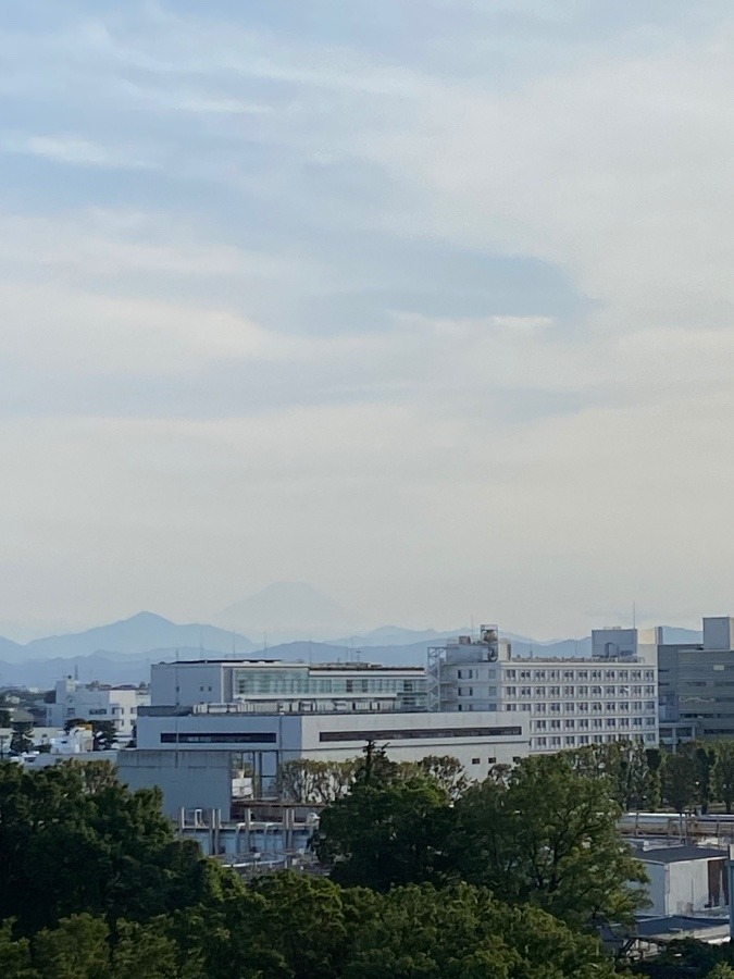 17:20 今日の富士山