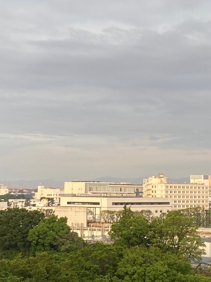 今朝の富士山